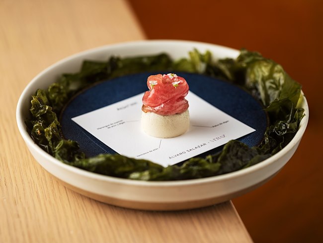 Alvaro Salazar Cuina